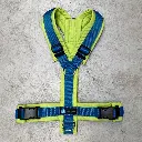 AnnyX Y-tuigje LE Forget me Not.webp