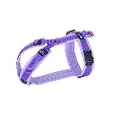 Shop_Brustgeschirr_Lavendel normaal.webp