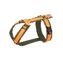 Shop_Brustgeschirr_oliv-orange normaal.webp