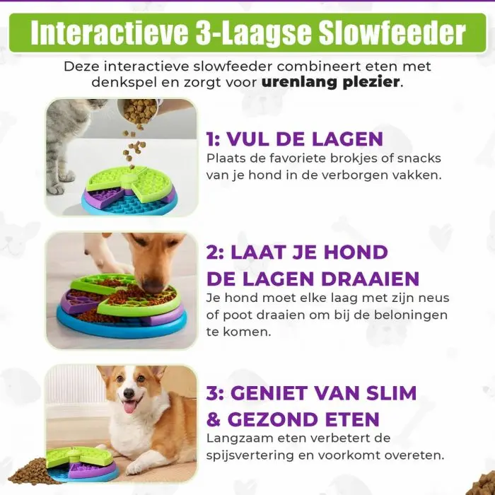 Fun Feeder Lickin' Layers5.webp