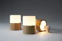Bright_Bamboo.webp
