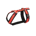Rood-Zwart.webp
