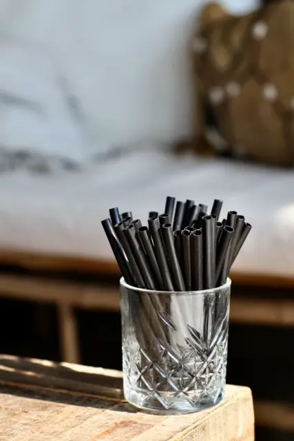 Eco dispo rietje zwart 15x0.6 250 stuk