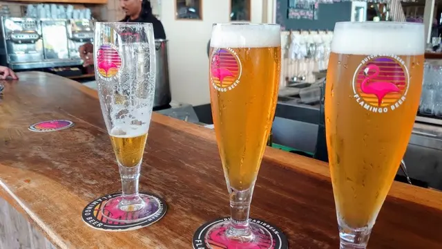 Bierglas Phonix 38,6cl. Bedrukt Flamingo Beer 6 stuks