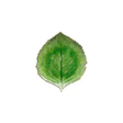 Costa Nova Hydrangea Leaf Riviera 22cm Tomate Green