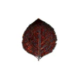 Costa Nova Hydrangea Leaf Riviera 22cm Vigne Red