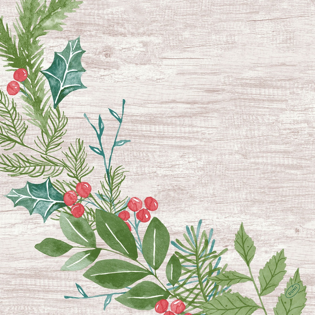 Duni - Servet Dunisoft Winter Greenery (40 x 40 cm, 360 stuks)