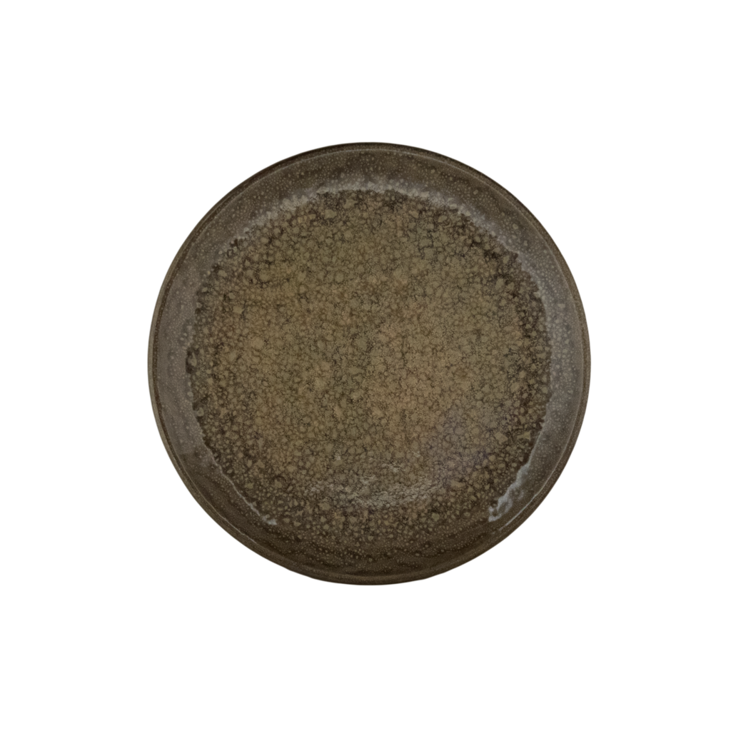 Continental - Bord coupe vlak Moon Hazel Brown (19 cm, 1 stuk)