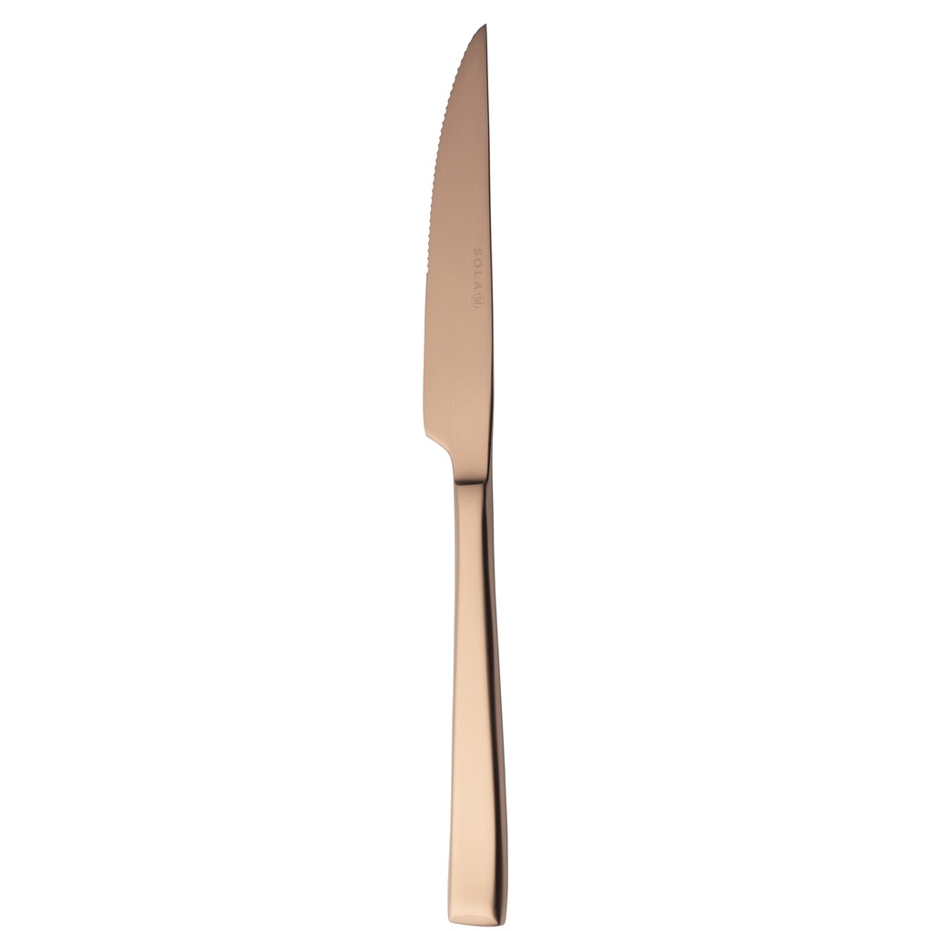 Sola - Steakmes Durban 18/10 koper satijn PVD (24,4 cm, 12 stuks)