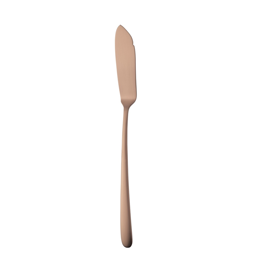 Sola - Vismes Ibiza 18/0 koper satijn PVD (22,8 cm, 12 stuks)