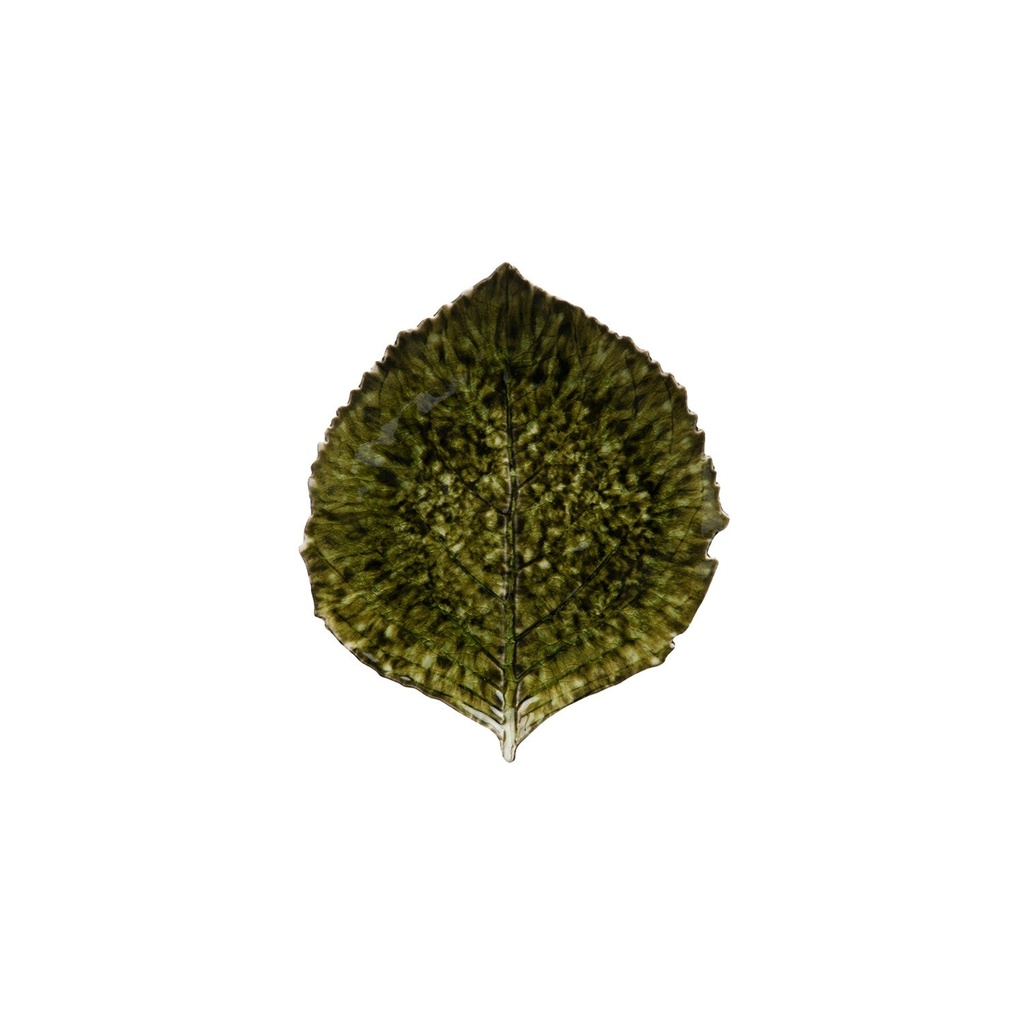 Costa Nova - Blad hortensia Riviera forêts (22 cm, 6 stuks)
