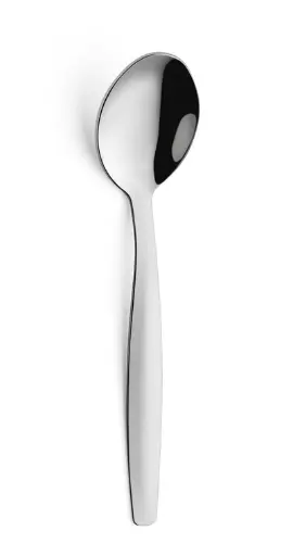 [BQ100335] Theelepel Eco 0265 (set van 120) 