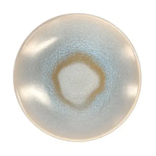 Continental Exotics Blue bord coupe diep 25cm