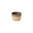 Costa Nova Latte Kop 67cl Olive Green