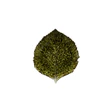 Costa Nova Hydrangea Leaf Riviera 22cm Forets Green