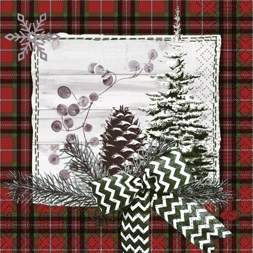 [DTH108897] Duni - Servet tissue 3-laags Naturally Winter (33 x 33 cm, 1000 stuks)