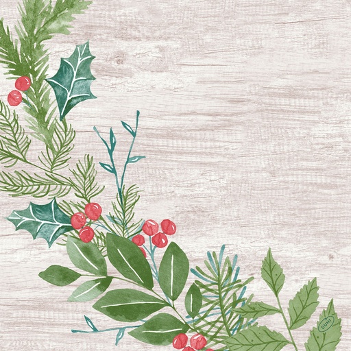[DTH108981] Duni - Servet Dunisoft Winter Greenery (40 x 40 cm, 360 stuks)