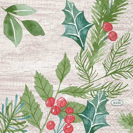 [DTH108982] Duni - Servet tissue 3-laags Winter Greenery (24 x 24 cm, 1000 stuks)