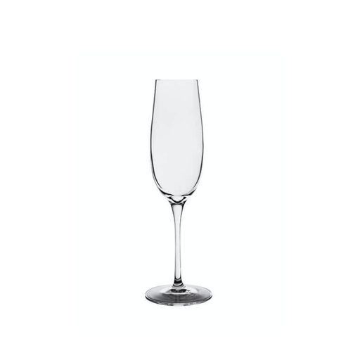 [BQ115690] Onis - Champagnecoupe 1924 (24,5 cl, 12 stuks)
