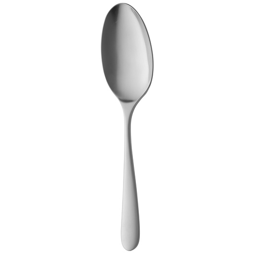 [BQ121171] Sola - Serveerlepel Nordica 18/10 satijn (25 cm)