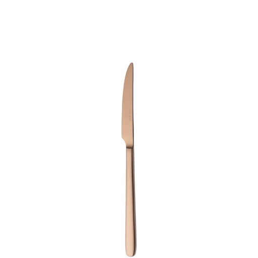 [BQ122156] Sola - Fruitmes Ibiza 18/0 koper satijn PVD (18,8 cm, 12 stuks)