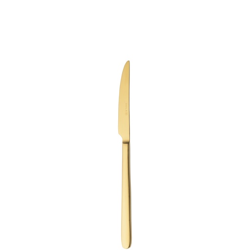 [BQ122201] Sola - Fruitmes Ibiza 18/0 goud satijn PVD (18,8 cm, 12 stuks)