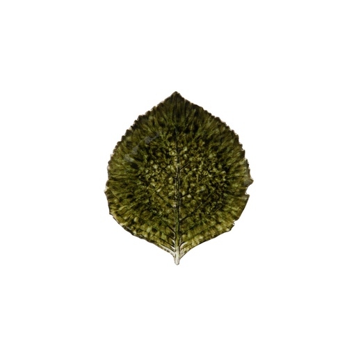 [BQ125802] Costa Nova - Blad hortensia Riviera forêts (22 cm, 6 stuks)