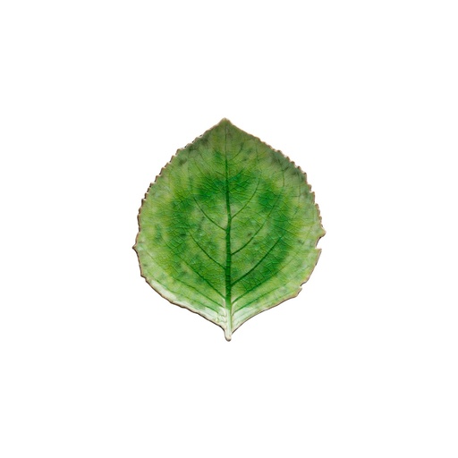 [BQ125821] Costa Nova - Blad hortensia Riviera tomate (22 cm, 6 stuks)