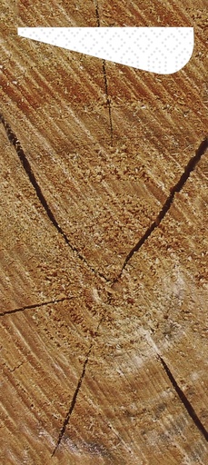 [170868] Duni Sacchetto®,bestekzakjes met servet, tissue 8,5 x 19 cm wood, 500 St/Doos (5 x 100 St)